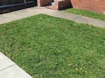 Lawn Care service in Hyattsville, 20781