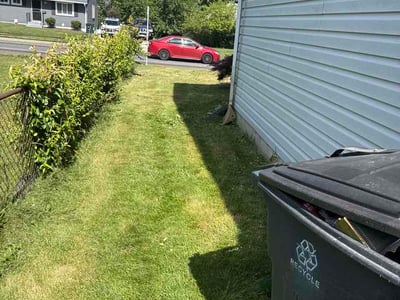 Lawn Care service in Potomac, 20036