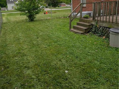 Lawn Care service in Centreville, 20120