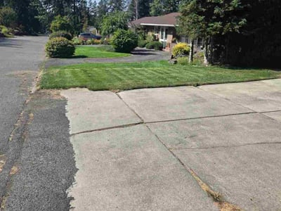 Lawn Care service in Bainbridge Island, 98110