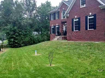 Lawn Care service in La Plata, 20646