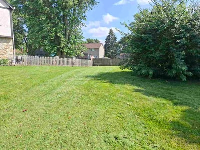 Lawn Care service in Valencia, 16059