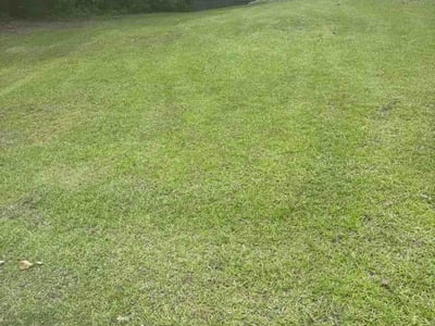 Lawn Care service in Leland, 28451