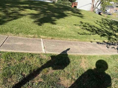 Lawn Care service in Clinton, 20735