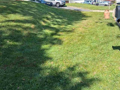 Lawn Care service in Clinton, 20735