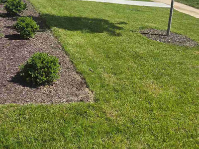 Lawn Care service in Clinton, 20735