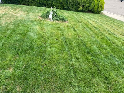 Lawn Care service in Ridgefield, 98642