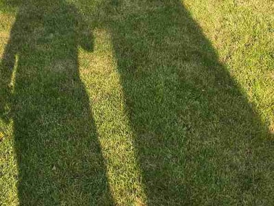 Lawn Care service in Auburn, 01501