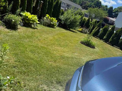 Lawn Care service in Newport, 02840