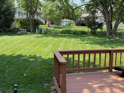 Lawn Care service in Bellevue, 68005