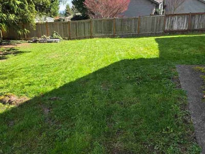 Lawn Care service in Snohomish, 98290