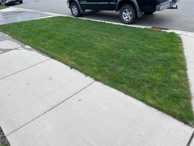 Lawn Care service in Snohomish, 98290