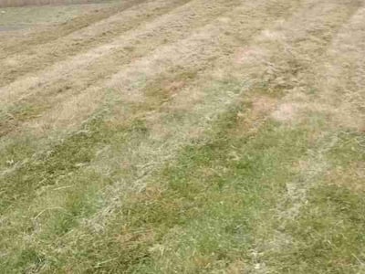 Lawn Care service in Marysville, 98270