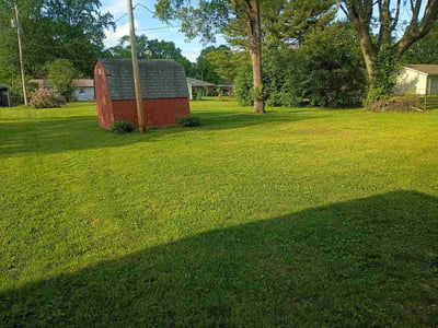 Lawn Care service in Collinsville, 62234