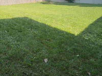 Lawn Care service in Bountiful, 84010