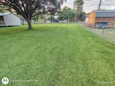 Lawn Care service in Bryan, 77803