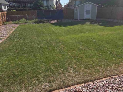 Lawn Care service in Lafayette, 80026