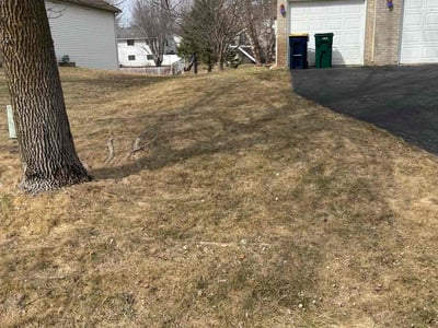 Lawn Care service in Farmington, 55024