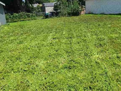 Lawn Care service in ,
