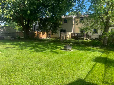 Lawn Care service in Bronx, 10462