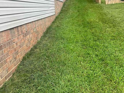 Lawn Care service in Seaside, 93955