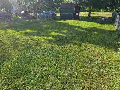 Lawn Care service in Berlin, 21811
