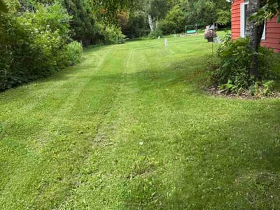 Lawn Care service in Racine, 53403