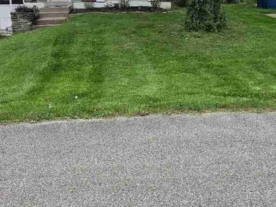 Lawn Care service in Cape May, 08204