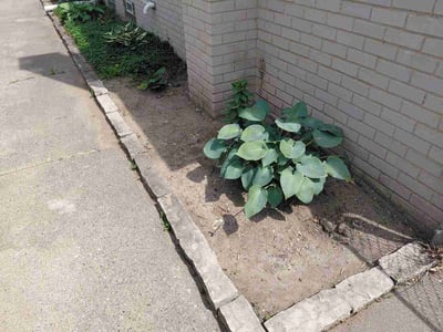 Lawn Care service in Saginaw, 48601