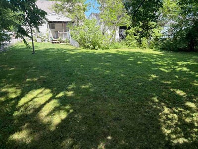 Lawn Care service in Saginaw, 48601