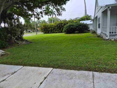 Lawn Care service in Port Charlotte, 33952