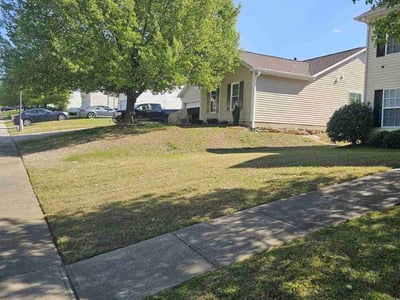 Lawn Care service in Castro Valley, 94546