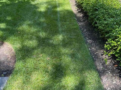 Lawn Care service in Oceanside, 11572