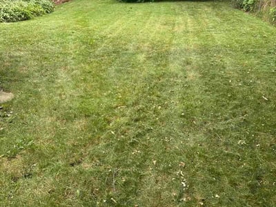 Lawn Care service in Elmont, 11003