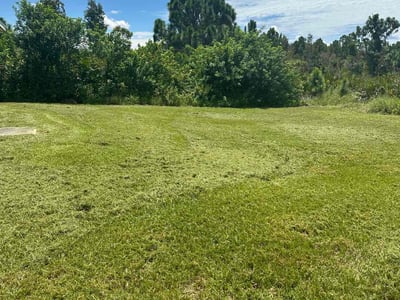 Lawn Care service in Merrick, 11566