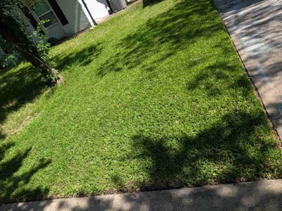 Leaf Removal service in Garland, 75040