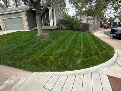 Lawn Care service in Longmont, 80501