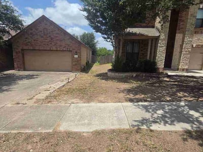 Leaf Removal service in Lutz, 33549
