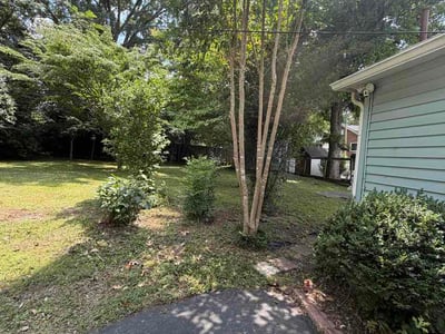 Leaf Removal service in Simpsonville, 29681