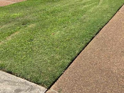 Lawn Care service in Elizabethton, 37643