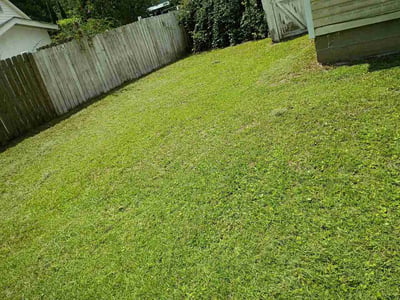 Lawn Care service in Okatie, 29909
