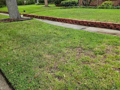 Lawn Care service in Gainesville, 32601