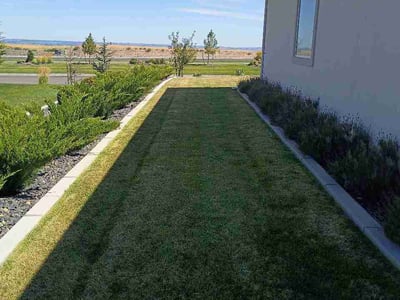 Lawn Care service in Pasco, 99301