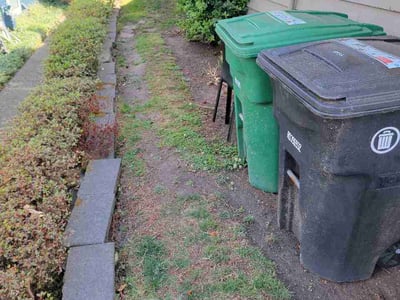 Leaf Removal service in Everett, 98201