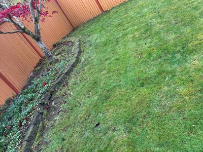 Leaf Removal service in Everett, 98201