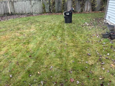 Leaf Removal service in Everett, 98201