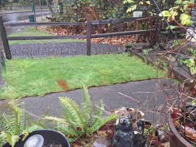 Leaf Removal service in Everett, 98201