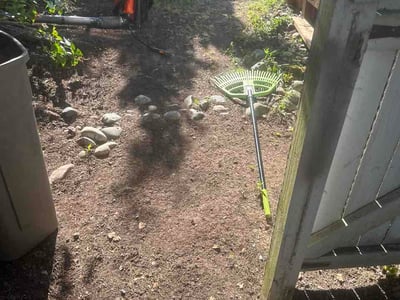 Leaf Removal service in Everett, 98201