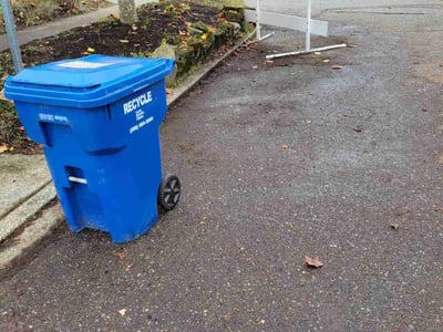 Leaf Removal service in Everett, 98201