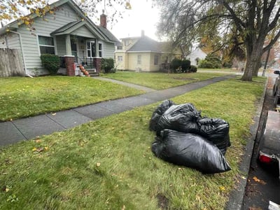 Leaf Removal service in Everett, 98201